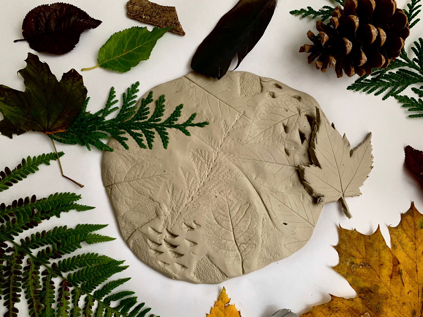 Ateliers parentalité à Lille : Argile: Empreintes et textures de la nature (3-8 ans)