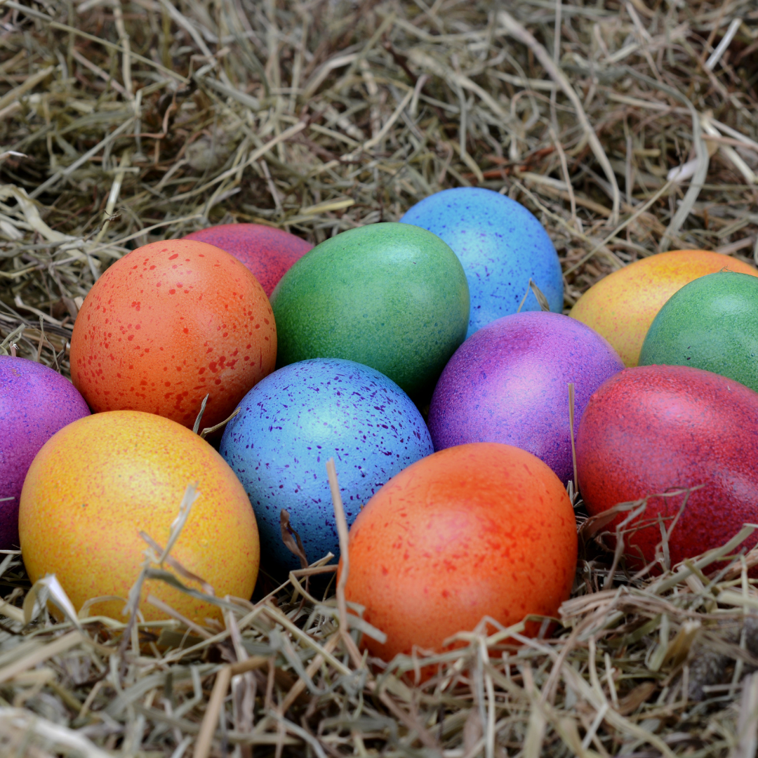 En autonomie parentalité à Lille : Chasse aux oeufs (2-7 ans)